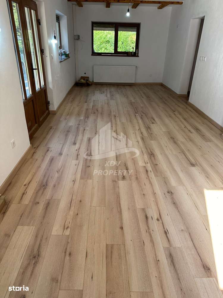 Pensiune/ Vila Valea Avrigului-9