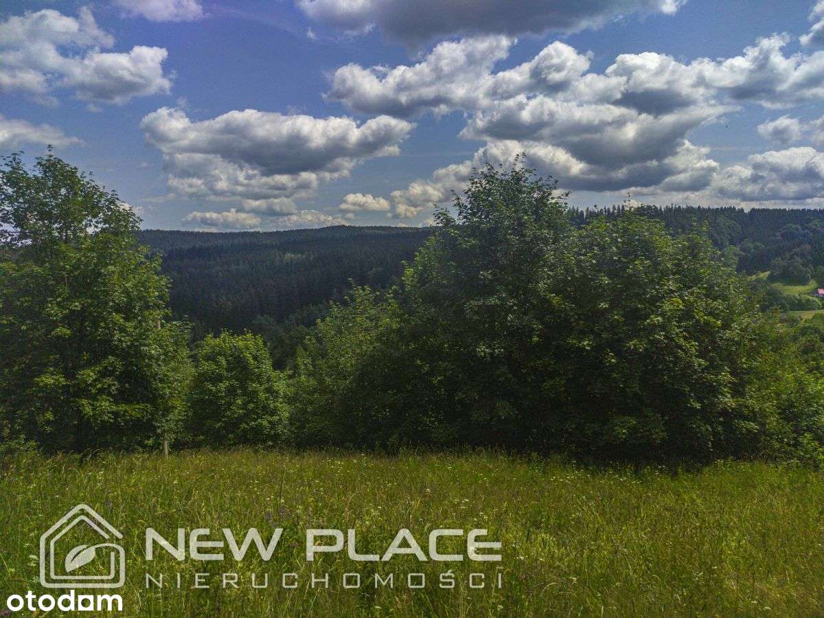 Widokowa, góry, tylko 99zł/m2, Duszniki-Zdrój - Pełny obrazek: 4/7