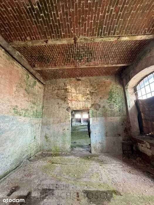 Hala produkcyjno-magazynowa w Bielawie – okazja-3