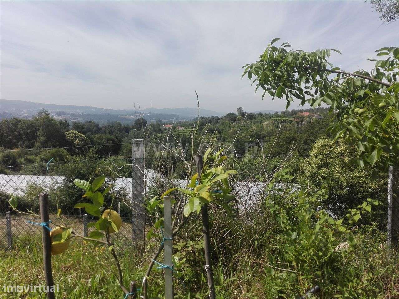 Quinta - Grande imagem: 4/20