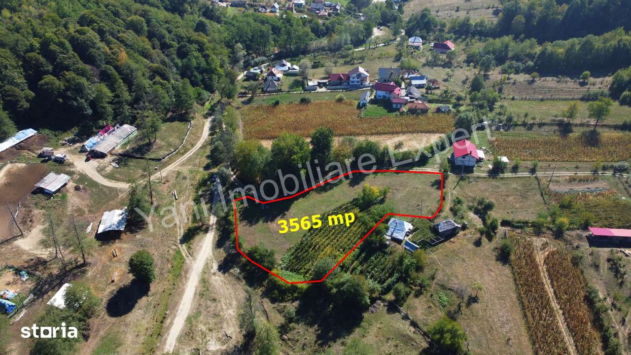 Teren de vânzare în comuna Băiculești, sat Tutana, județ Argeș. - Imagine principală: 1/10