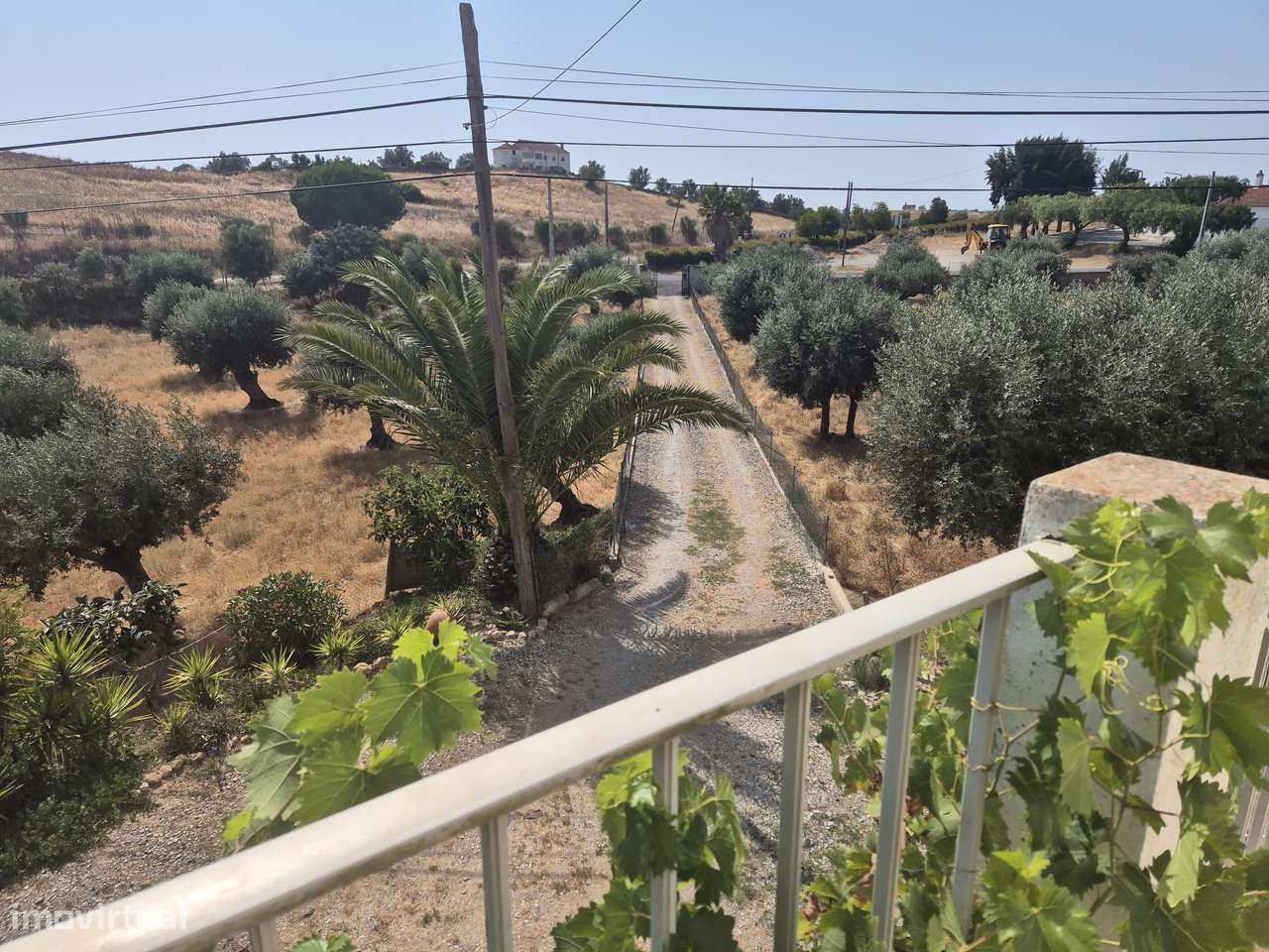 Quinta V5 com 15.000 m2 em Ourique-25