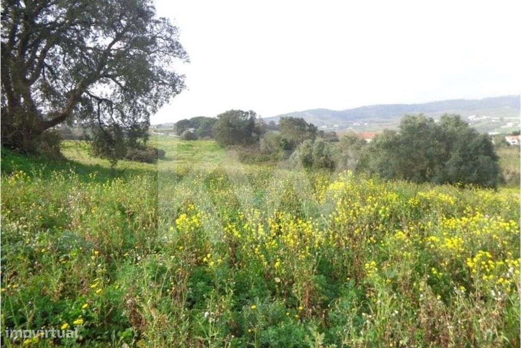 Terreno para Venda em Arruda dos Vinhos - Grande imagem: 3/13