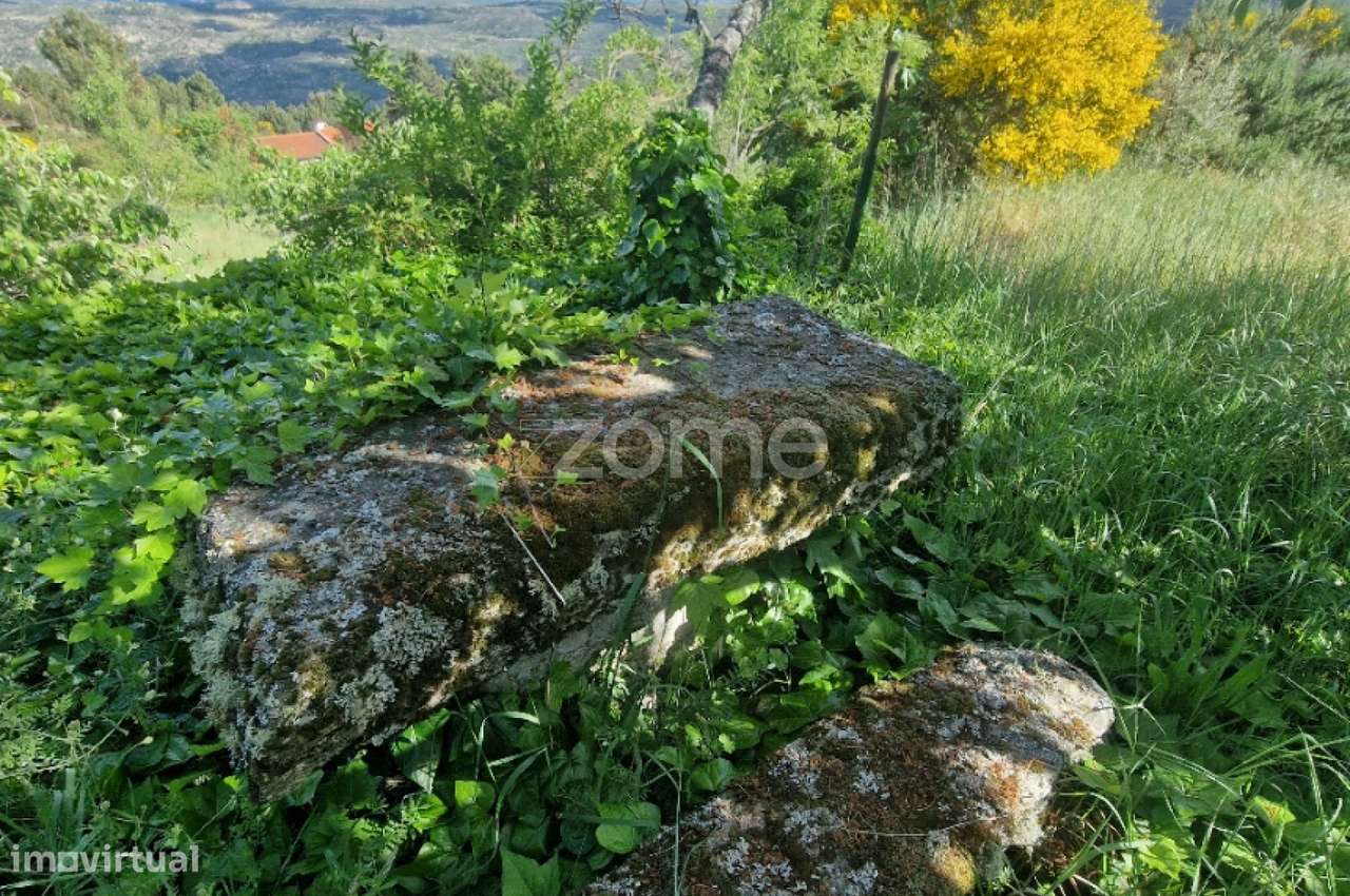 VENDA DE DOIS PRÉDIOS RÚSTICOS – Pegarinhos , Alijo - Grande imagem: 5/30