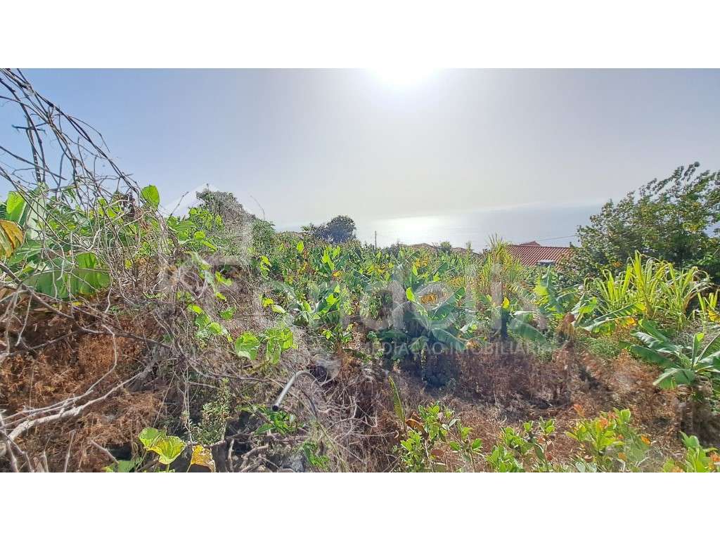 Terreno em Santa Cruz com vista mar - Grande imagem: 5/13