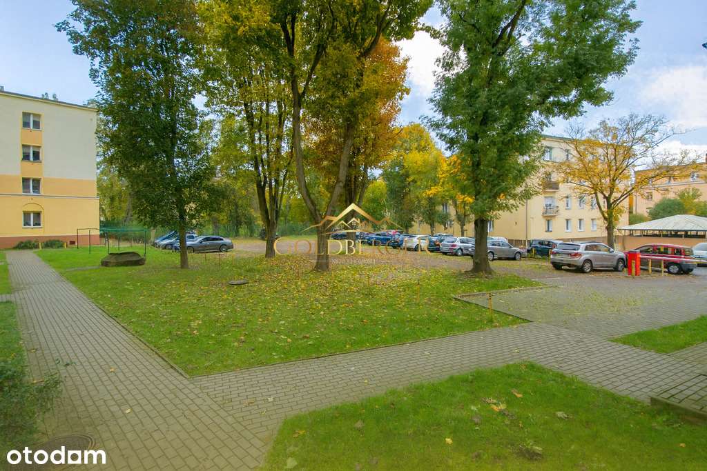 Okazja! Jasne i ustawne mieszkanie na Dębcu! - Pełny obrazek: 4/18