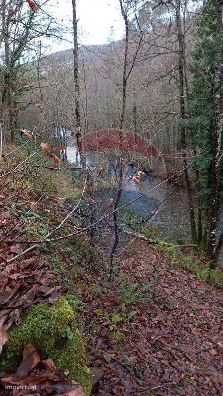 Moradia T2 para venda - Grande imagem: 5/8