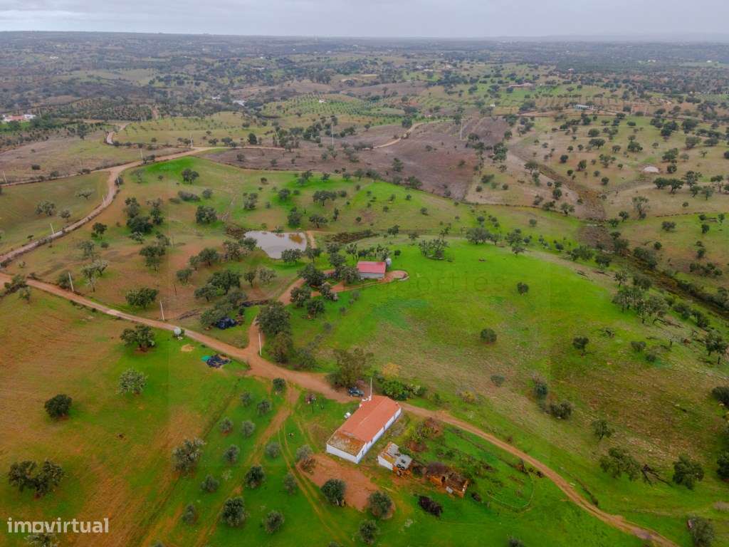 Fantástica quinta típica Alentejana em Vila Verde de Ficalho-6