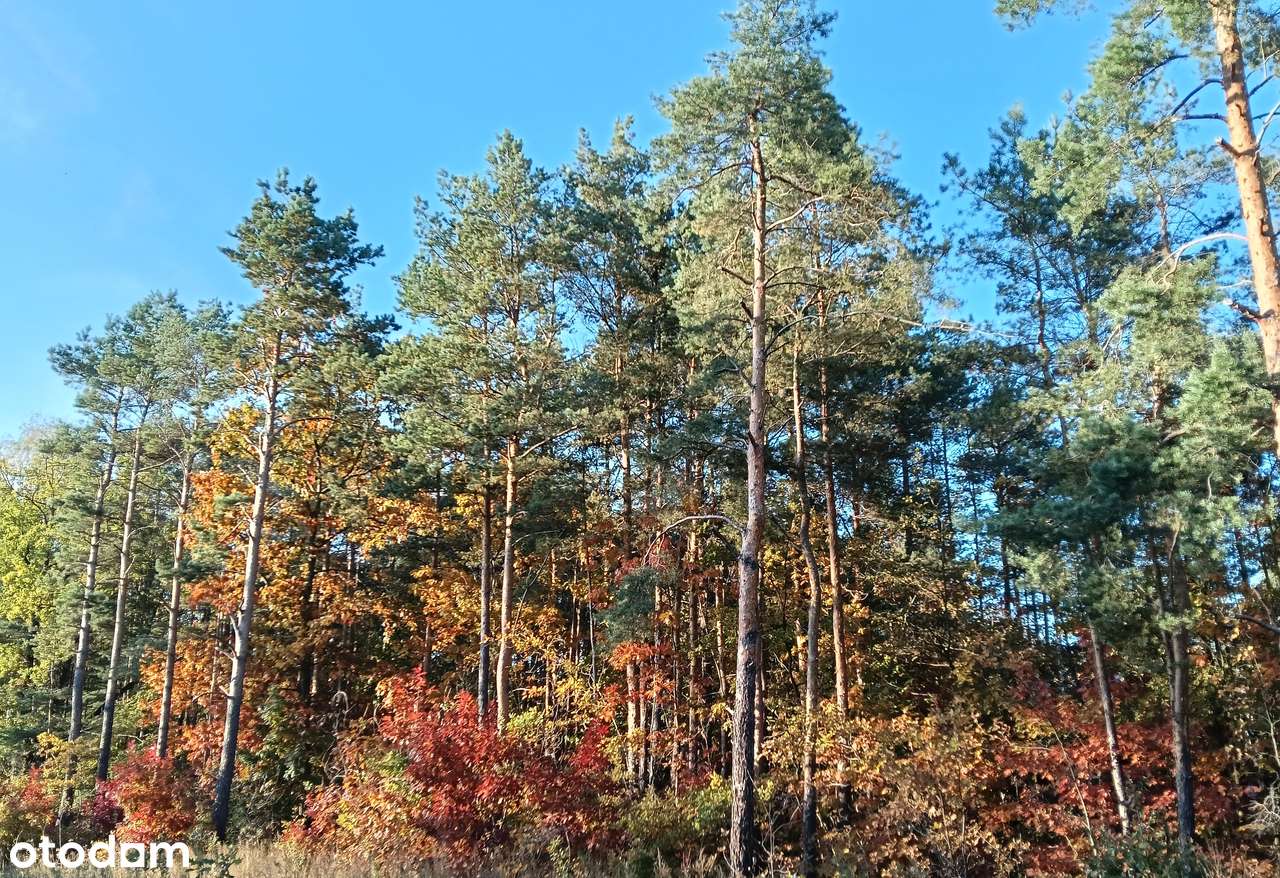 Oferta dla dewelopera lub osoby prywatnej - Pełny obrazek: 1/2