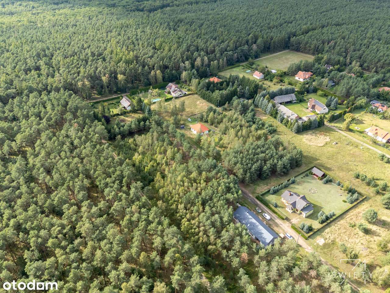 Urokliwe działki na skraju Puszczy Zielonki - Pełny obrazek: 5/18