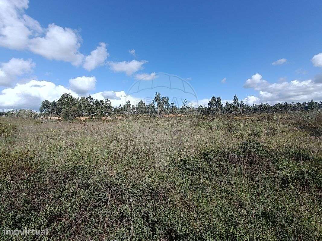 Terreno  para venda - Grande imagem: 5/5