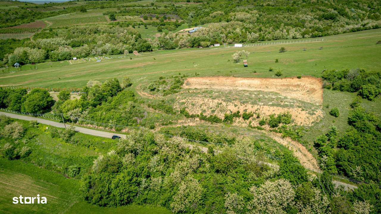 Teren extravilan în vecinătatea Mănăstirii Feredeu - Imagine principală: 5/8