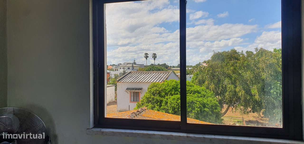 Quinta  5000m2 Viver no Campo Com a Cidade Por Perto Passil Alcochete-30