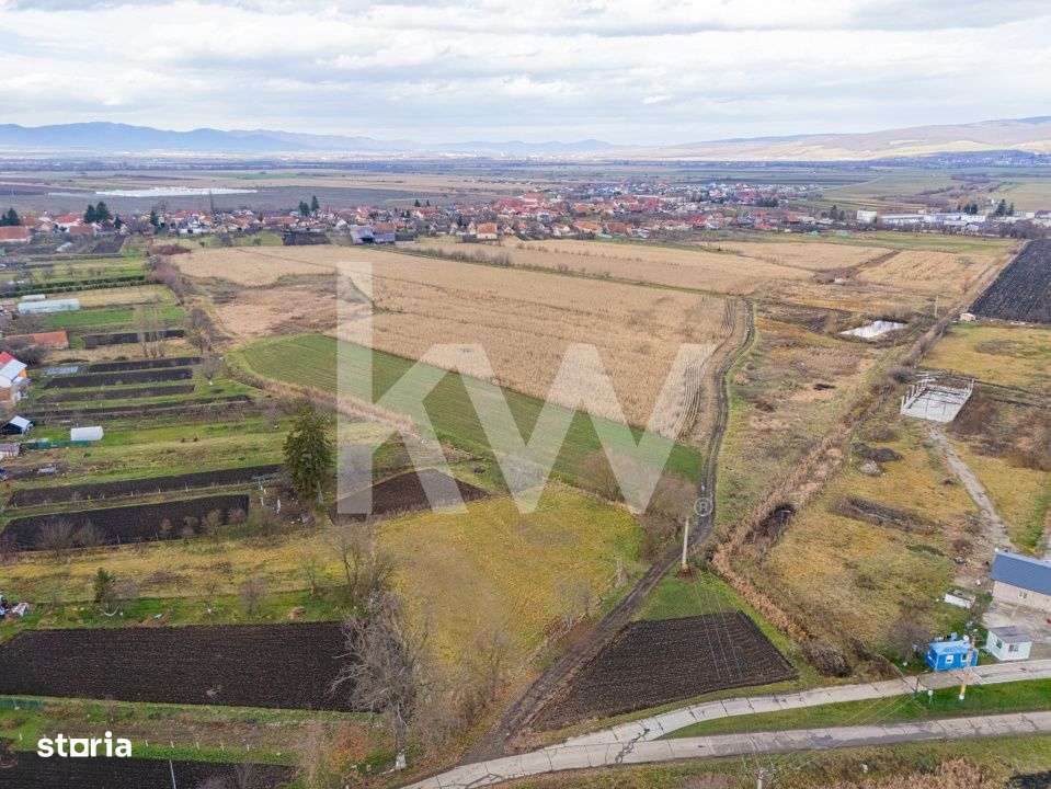 Teren 10000 mp in Extravilan, Bod, Brasov- COMISION 0%-17