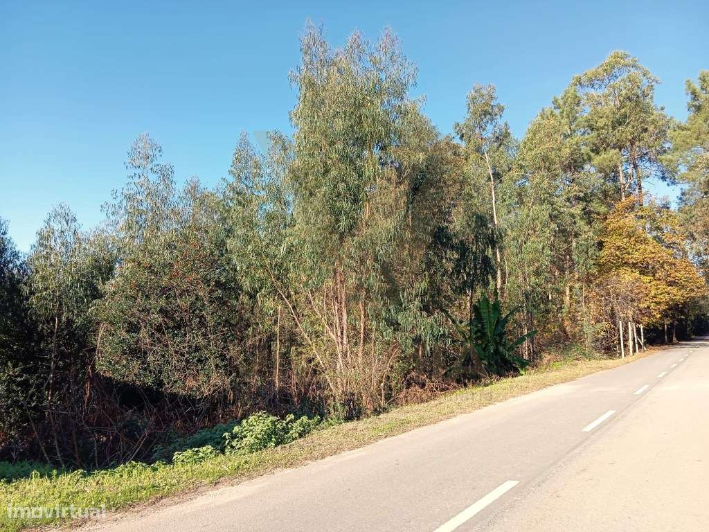Terreno 2.290m² Urbanizavél - Fornelos - Ponte de Lima - Grande imagem: 4/7