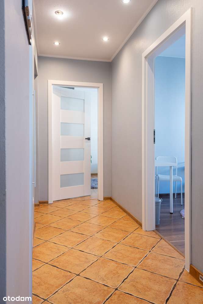 4 pokoje | 80 m² | 1 piętro | Winda | Centrum miasta | Bez pośredników - Pełny obrazek: 3/20