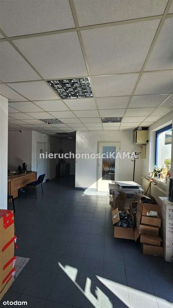 Hala/Magazyn, 1 603,55 m², Bielsko-Biała-6