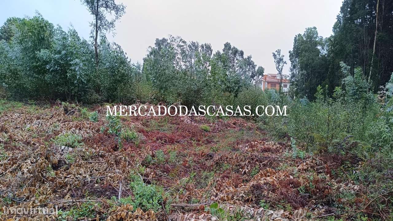 Terreno em Nogueira da Regedoura - Grande imagem: 5/6