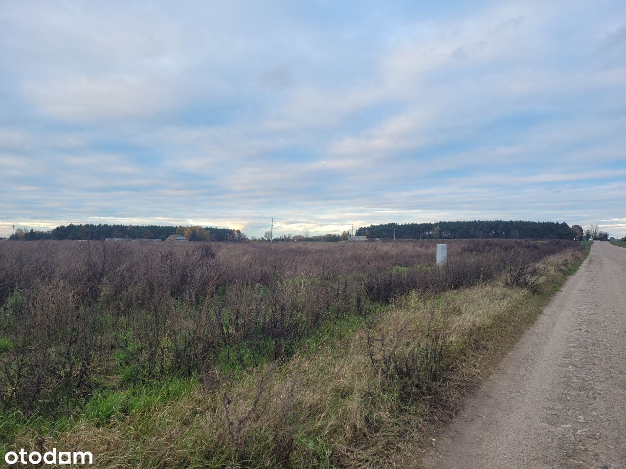 Działka 1000 m2 w Kępie, ul. Jeżynowa z mediami