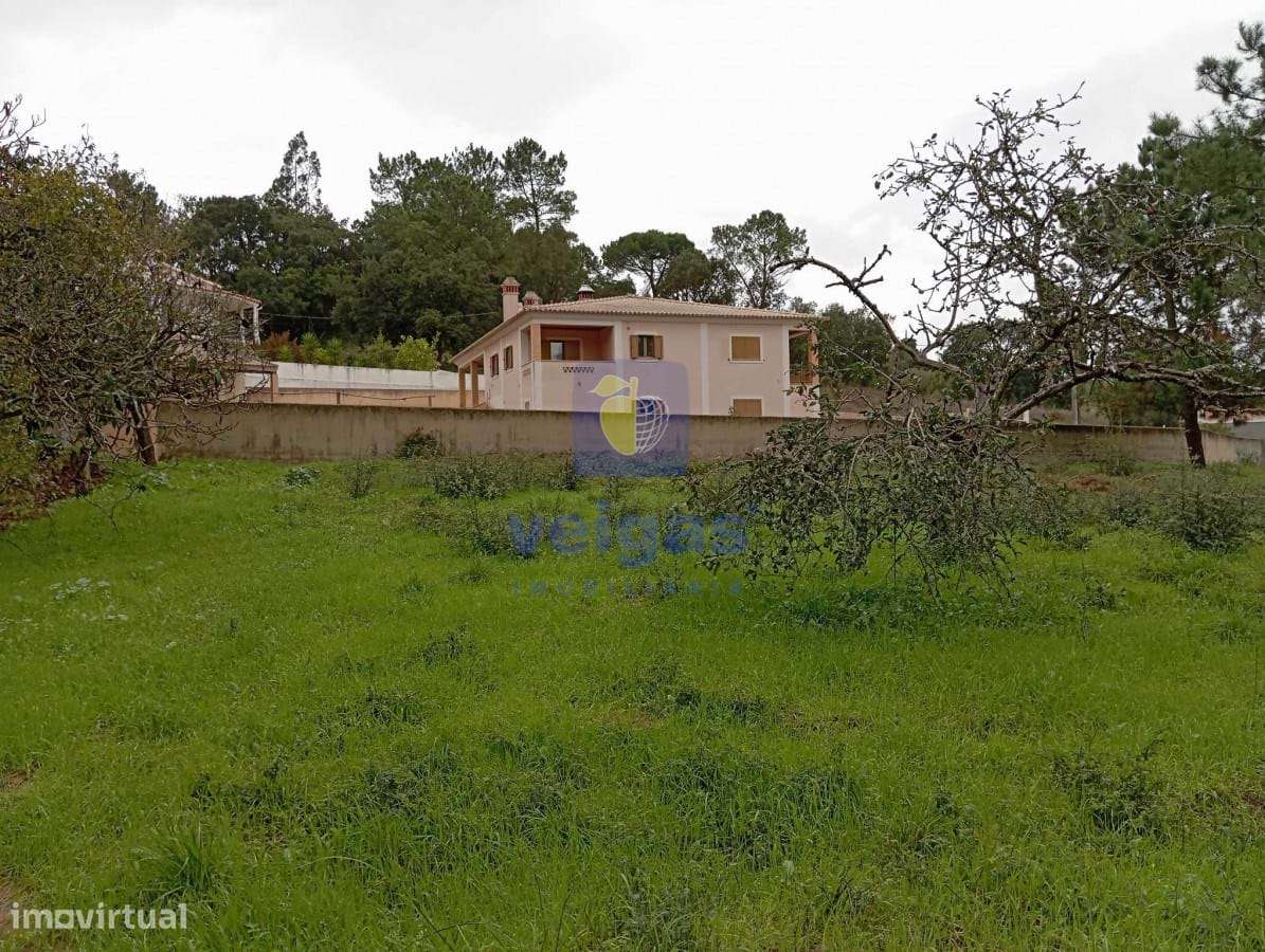 Terreno Salir de Matos - Grande imagem: 5/10