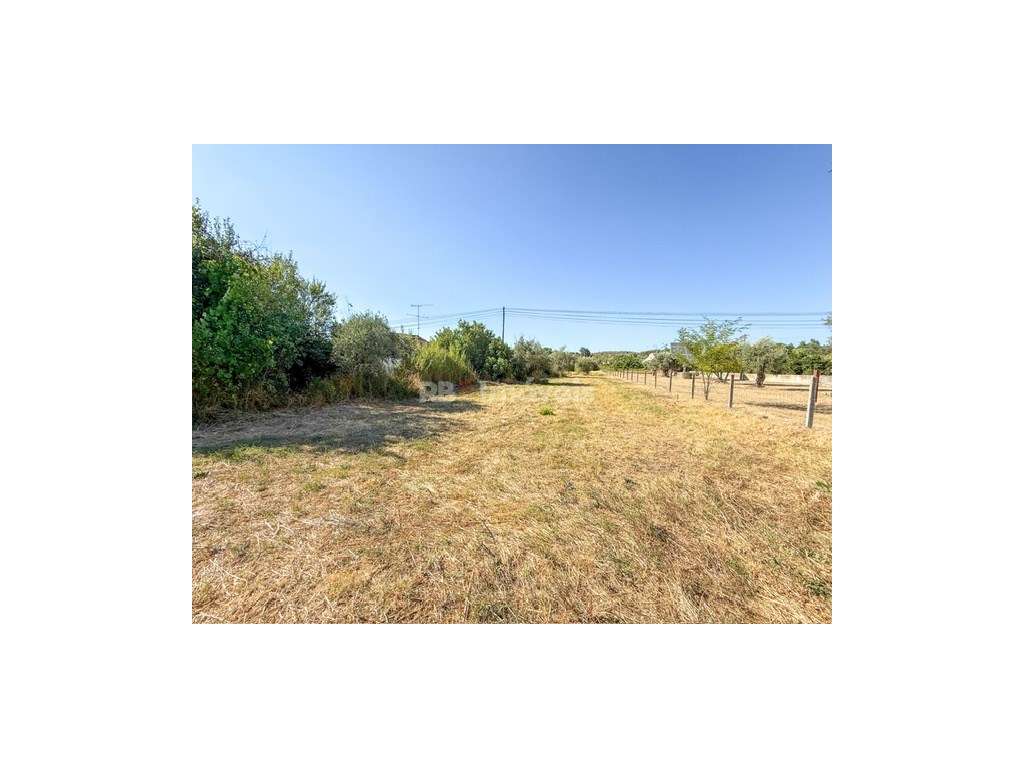 Terreno Rústico 6.120m² em Alferrarede Velha - Grande imagem: 5/14