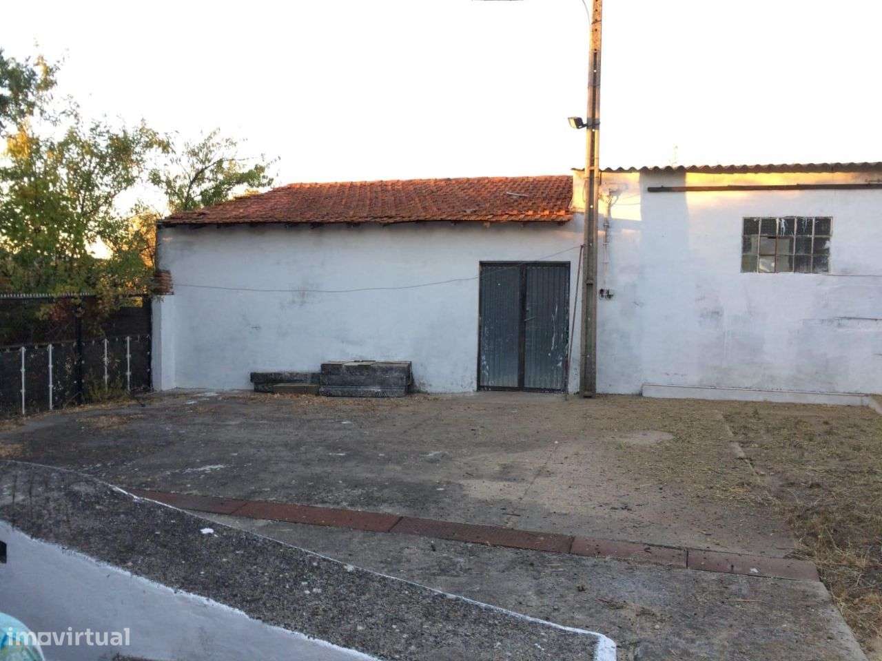 Herdade com 2 casas, Olaia, Torres Novas - Grande imagem: 5/13