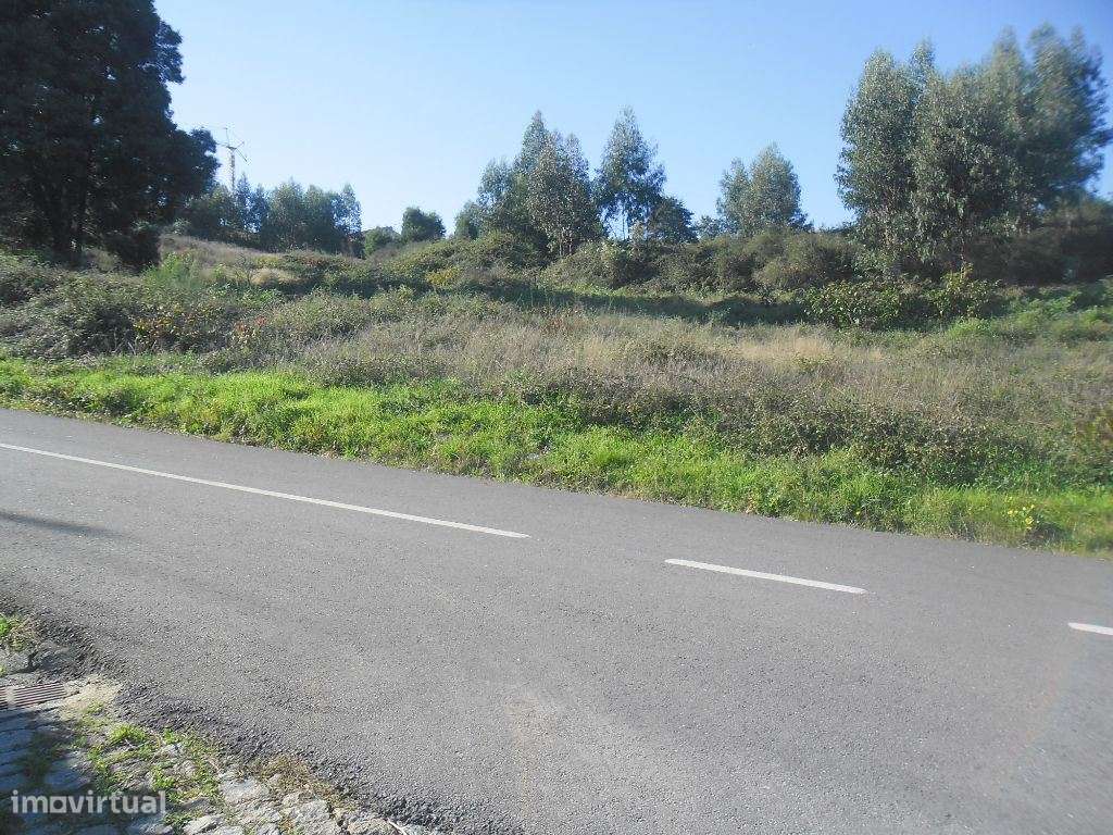 Terreno para Construção - Amarante ( Figueiró) - Grande imagem: 2/9