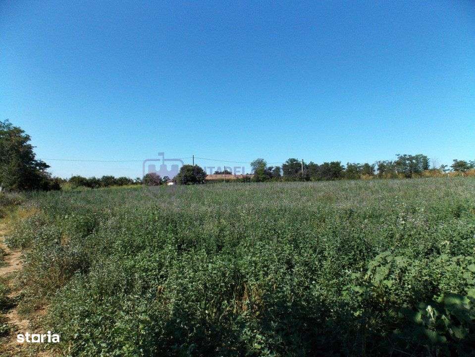 TUZLA - Teren intravilan 1000 mp, langa lacul Techirghiol!-6