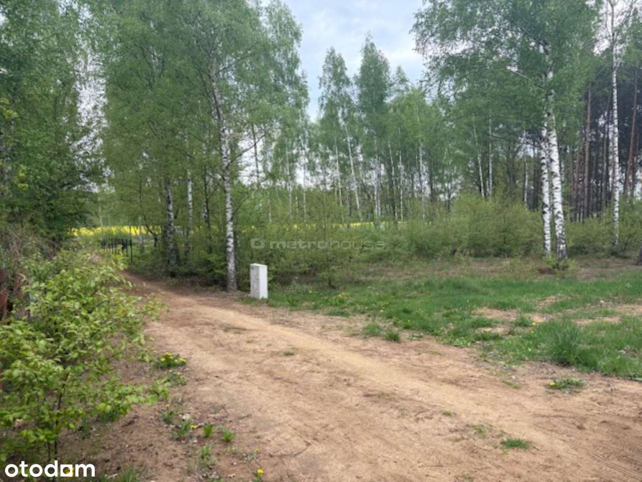 Działka na sprzedaż, Ostrzeniewo - Pełny obrazek: 4/5