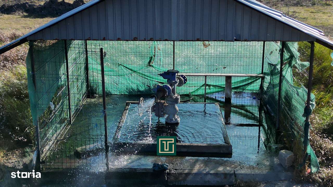 PUT GEOTERMAL NATURAL PE UN TEREN DE 36.476 MP IN SOCODOR, ARAD-0