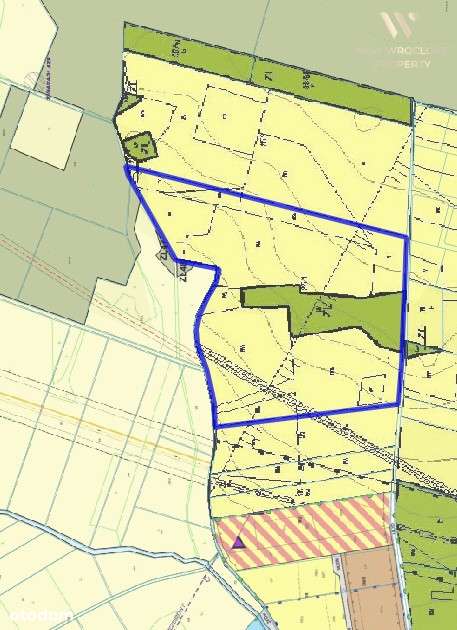 Duża działka rolna, Czeszów | Zawonia | Trzebnica - Pełny obrazek: 4/11