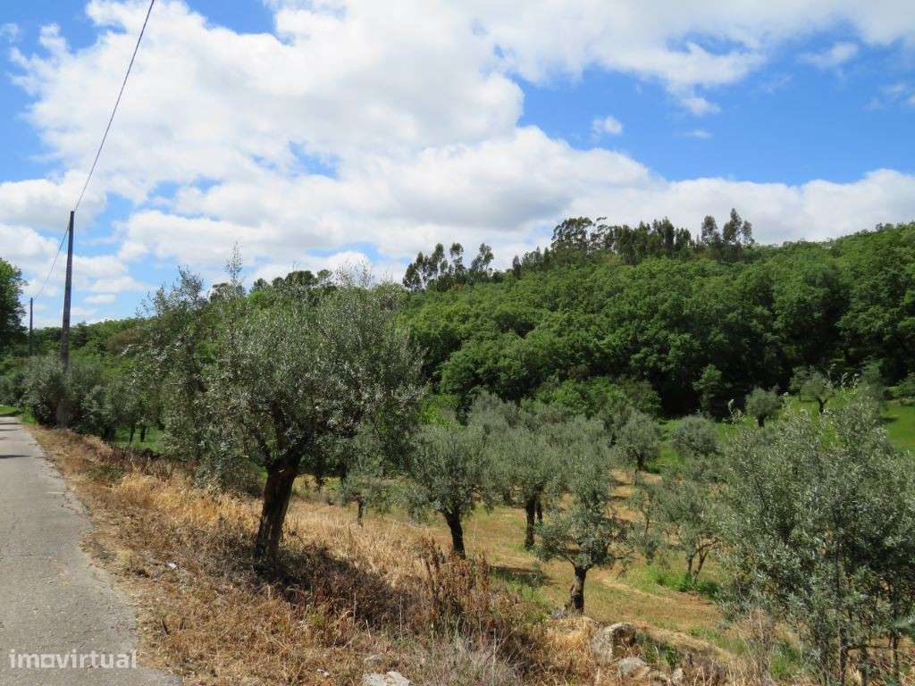Terreno de construção de moradia rodeado de paisagens verdes - Grande imagem: 4/6