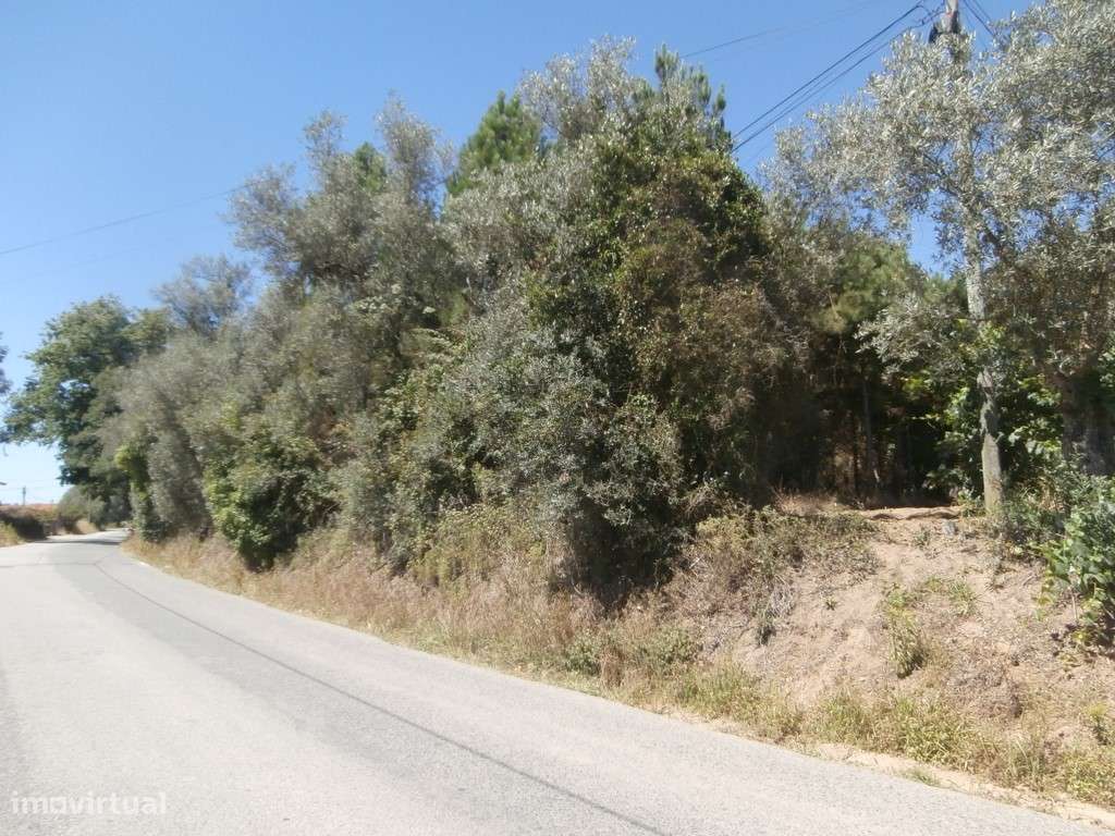 Terreno a Eucaliptal em Paradela (venda judicial - verba n.º 9)-5