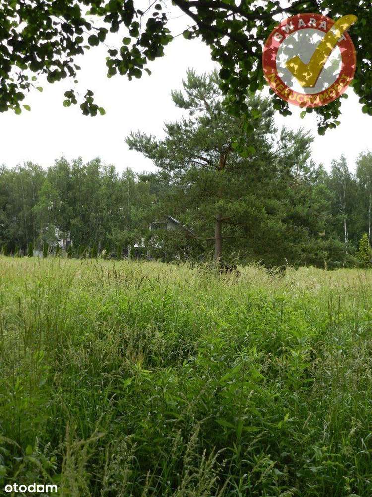 Działka 1800m2 w Rozgartach z Mpzp, blisko lasu! - Pełny obrazek: 5/6