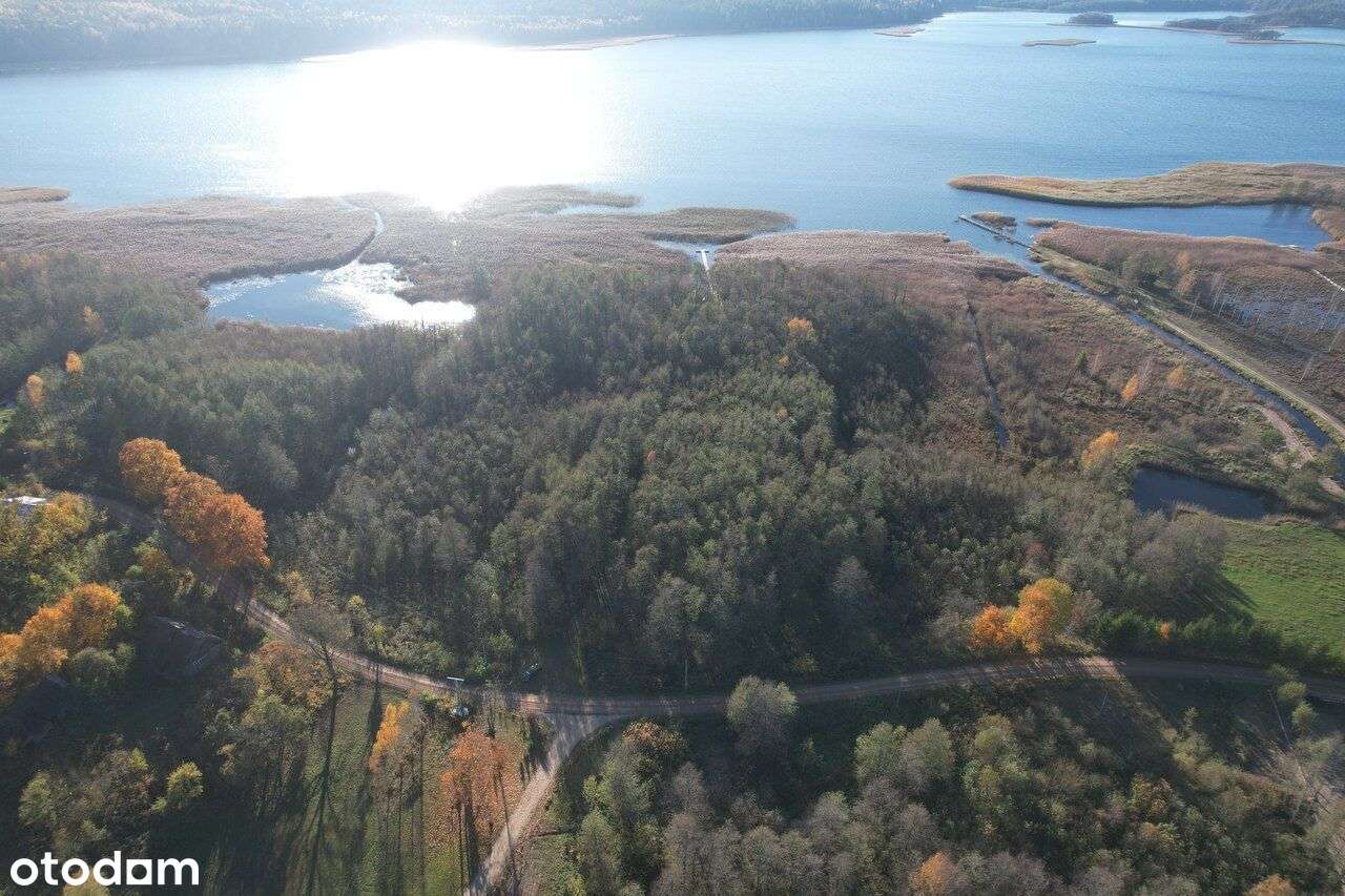 Nieruchomość z WZ i własną linią brzegową j.Wigry. - Pełny obrazek: 4/8