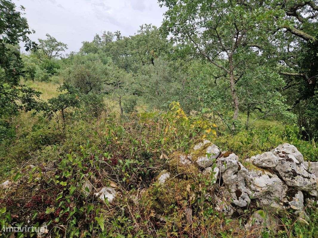 Terreno  para venda - Grande imagem: 4/6