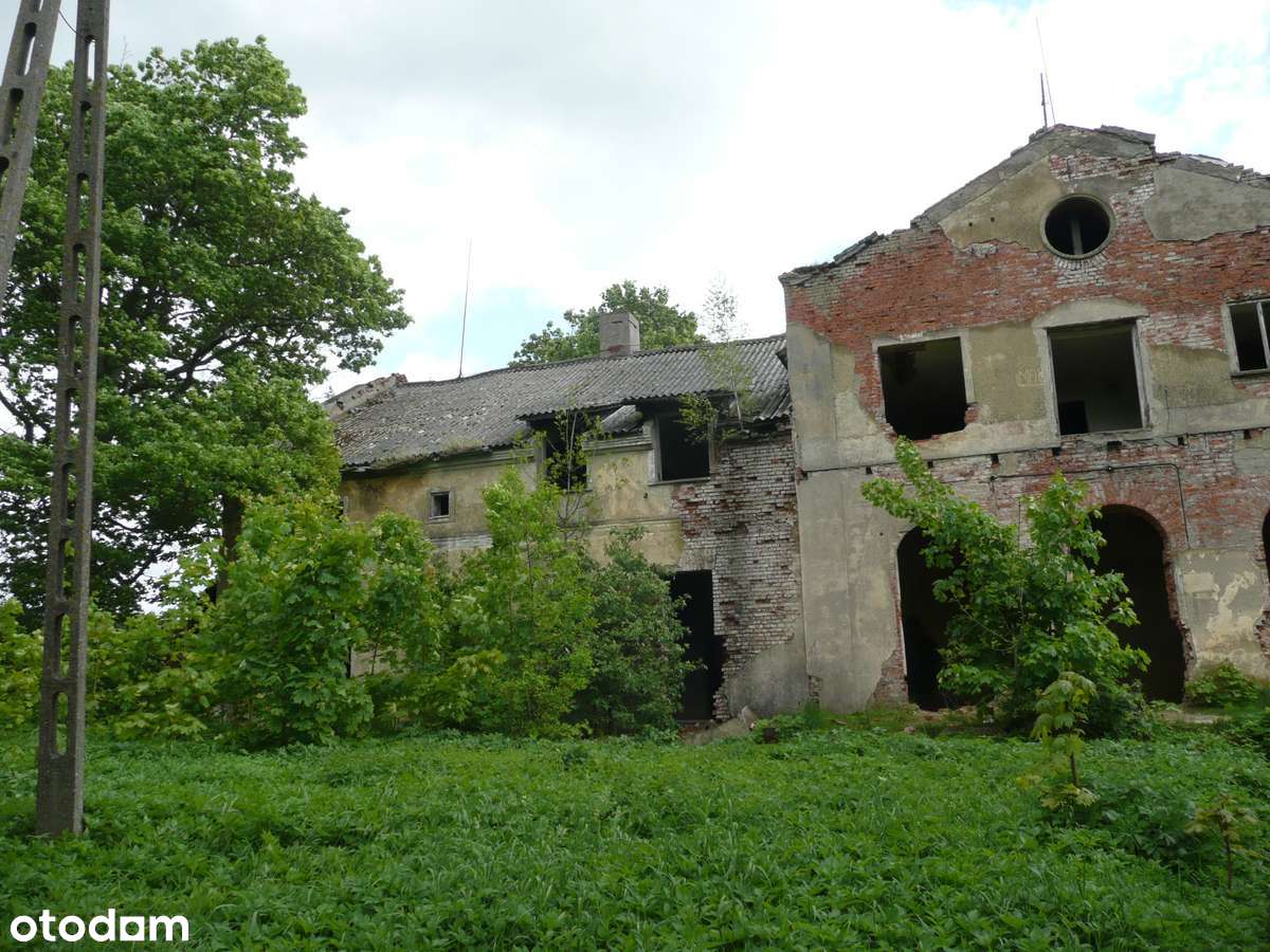 Zabytkowy Dwór z Parkiem-6