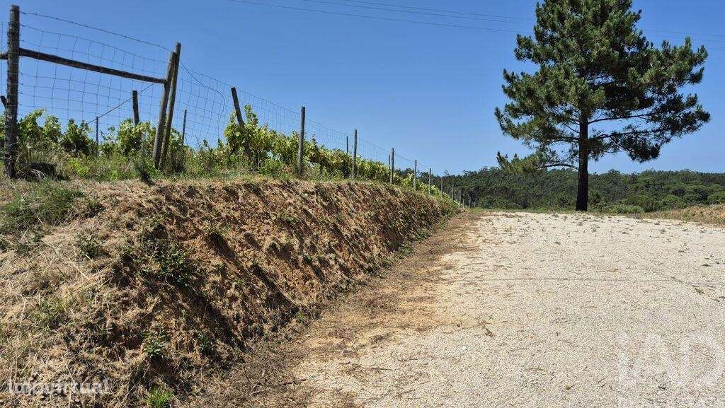 Terreno em Parceiros e Azoia de 2687,00 m2 - Grande imagem: 4/20
