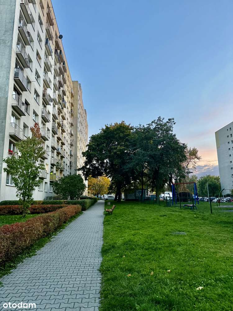 Rewelacyjna cena już dziś. Mieszkanie ul. Kochanowskiego.-6