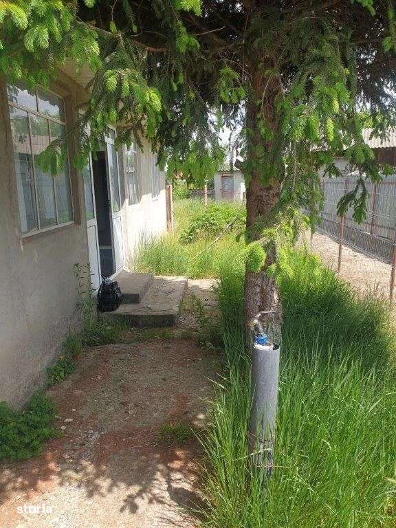 ADJUD, CASA SI TEREN Strada Ciobanului - Imagine principală: 5/20