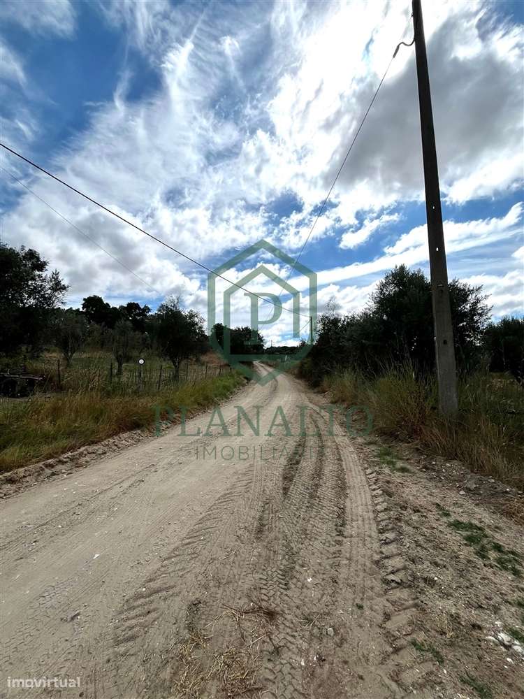 Quinta >=T10 Venda em Cortiçadas de Lavre e Lavre,Montemor-o-Novo-22