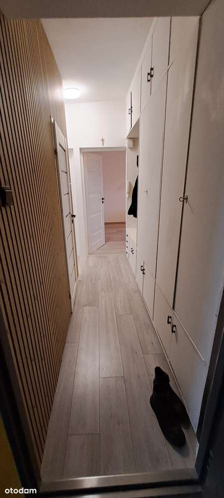 2-pokojowe mieszkanie | 42,30 m² | blisko PKP | ul. Saperska - Pełny obrazek: 5/8