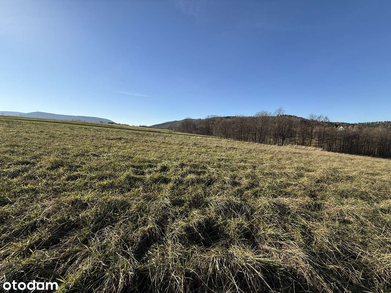 Czasław - atrakcyjna działka widokowa pod zabudowę-10