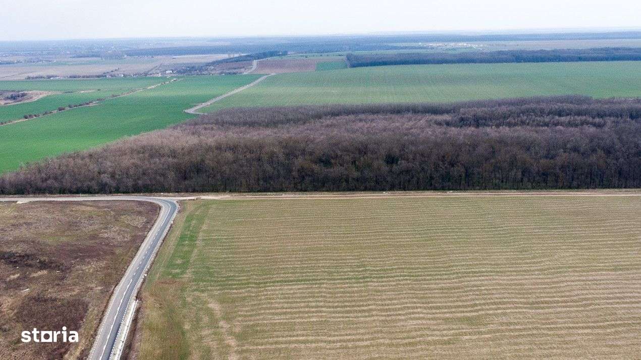 Teren intravilan la asfalt si statie autobuz Ilfov Cernica Posta-16