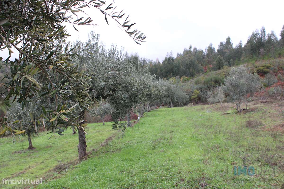 Terreno - Grande imagem: 5/29