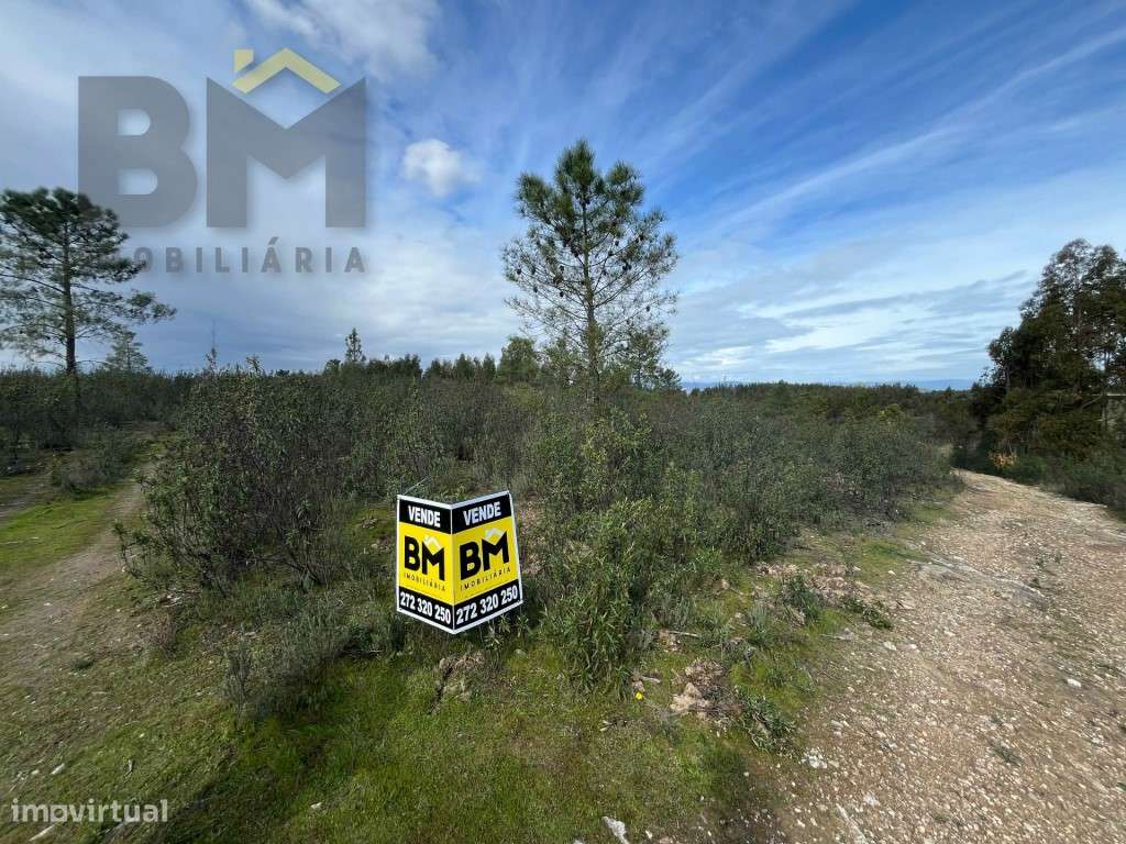 Terreno rústico com 8.400m2 para venda em Salgueiro do Campo! - Grande imagem: 5/5