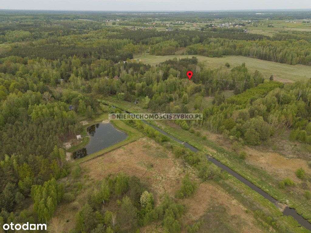 Spokój i Natura 25 min od Stolicy!-19