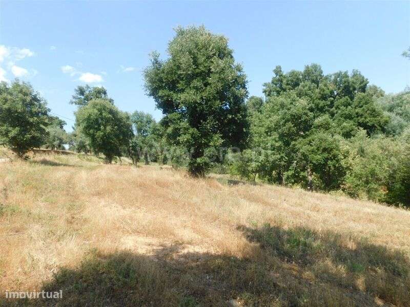 Terreno / Covilhã, Vales do Rio - Grande imagem: 5/16