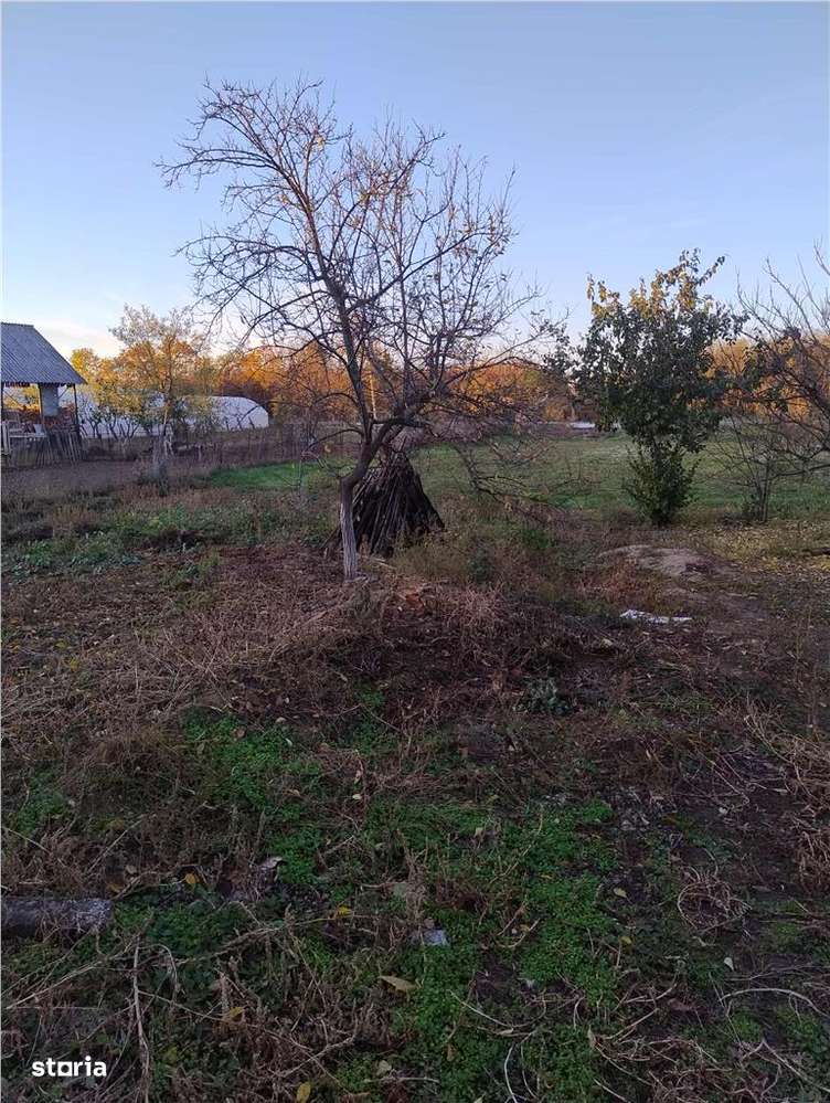 RECO Casa 3 camere, Alparea - Imagine principală: 5/6