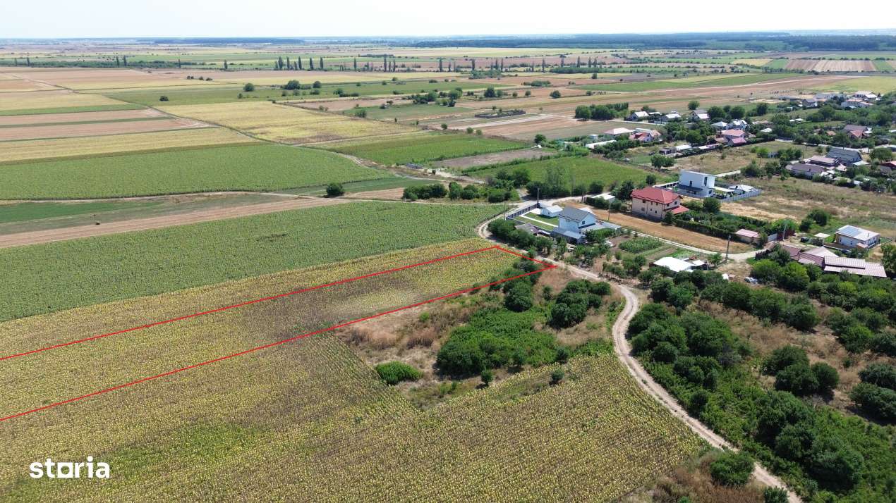 Teren intravilan Darza 1ha langa case deschidere 22 m - Imagine principală: 1/4